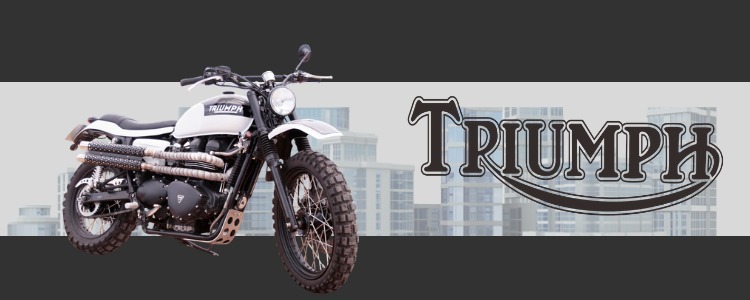 Triumph banner