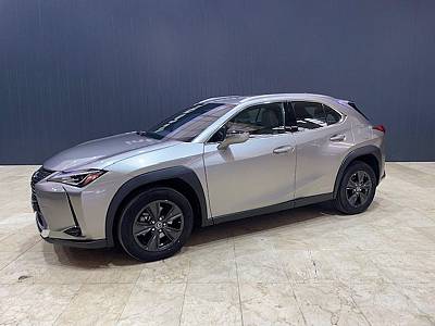 Lexus UX 250h Business 2WD