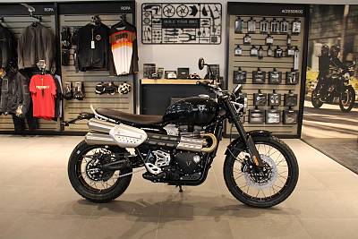 Triumph Scrambler 1200 X