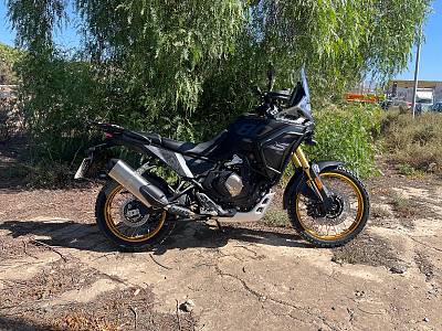VOGE 800 RALLY